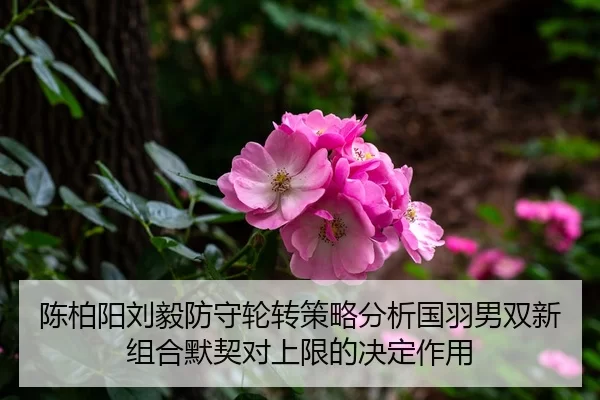 陈柏阳刘毅防守轮转策略分析国羽男双新组合默契对上限的决定作用