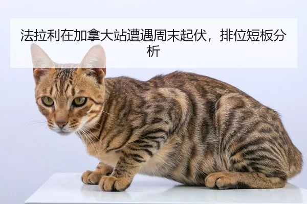 fa-la-li-zai-jia-na-da-zhan-zao-yu-zhou-mo-qi-fu-pai-wei-duan-ban-fen-xi-2-980.jpg