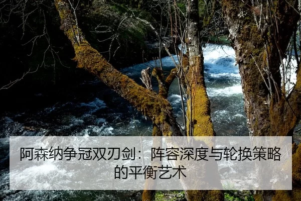 阿森纳争冠双刃剑：阵容深度与轮换策略的平衡艺术