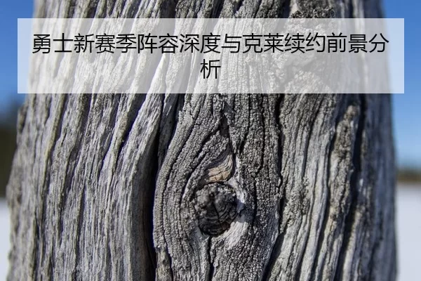 yong-shi-xin-sai-ji-zhen-rong-shen-du-yu-ke-lai-xu-yue-qian-jing-fen-xi-3-528.jpg