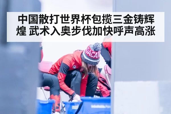 中国散打世界杯包揽三金铸辉煌 武术入奥步伐加快呼声高涨