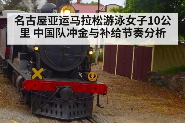 名古屋亚运马拉松游泳女子10公里 中国队冲金与补给节奏分析